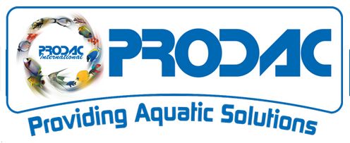 Prodac Kristal Pro - průhlednost vody pod kontrolou